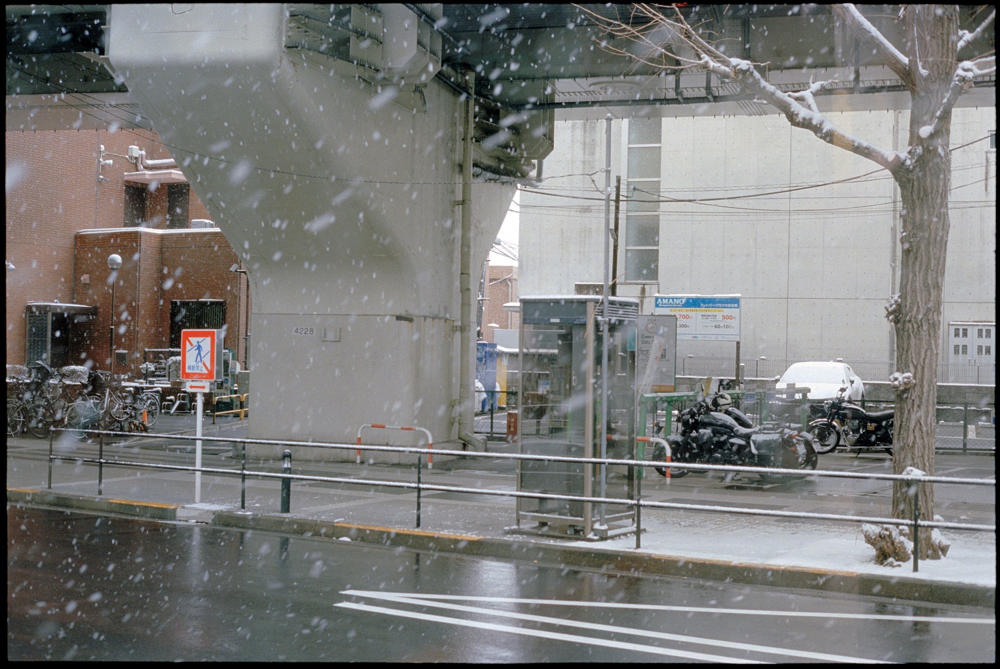 Shiro, image 11
